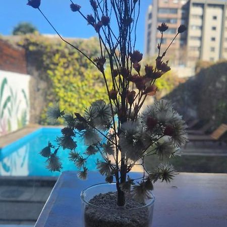 Pacha Hostel Backpack Сальта Экстерьер фото