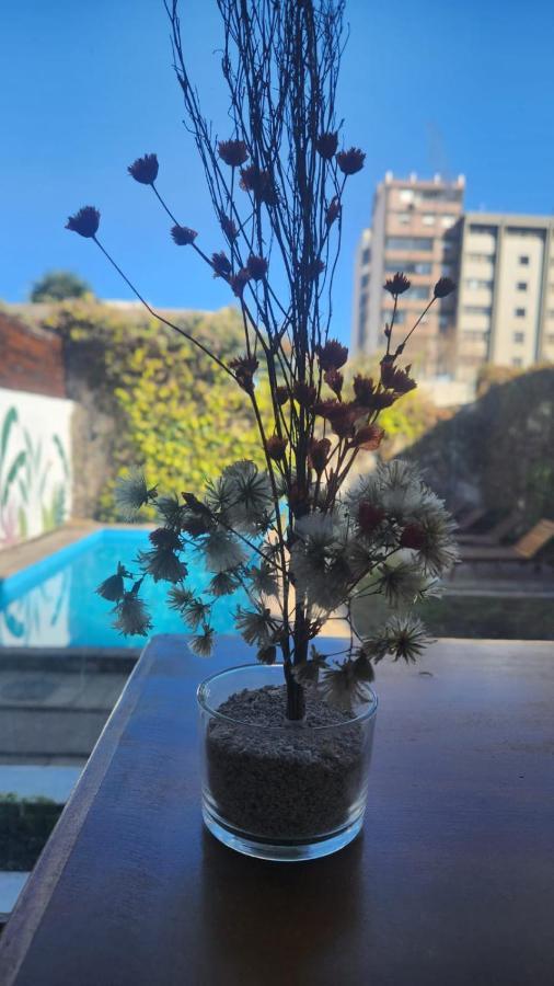 Pacha Hostel Backpack Сальта Экстерьер фото